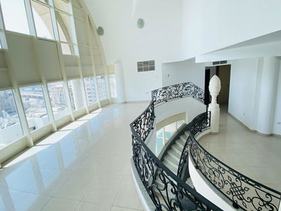 Violet, United Arab Emirates  Violet, United Arab Emirates