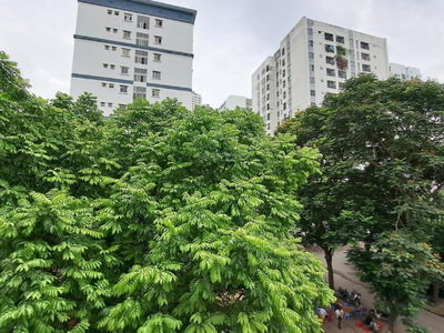 Kim Van Kim Lu, Vietnam Kim Van Kim Lu, Vietnam