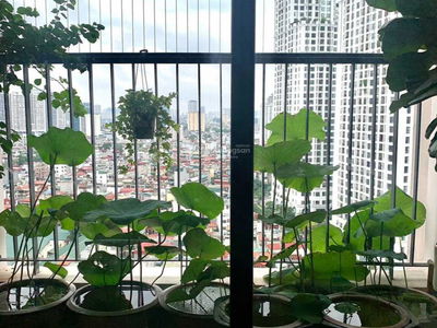 King Palace, Vietnam King Palace, Vietnam