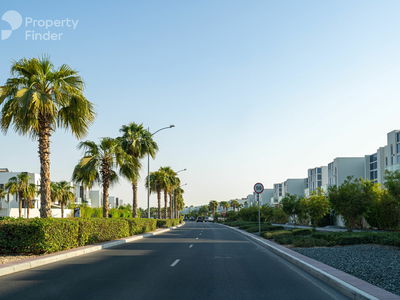 Basswood, United Arab Emirates  Basswood, United Arab Emirates