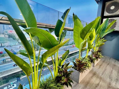 Golden Park Tower, Vietnam Golden Park Tower, Vietnam