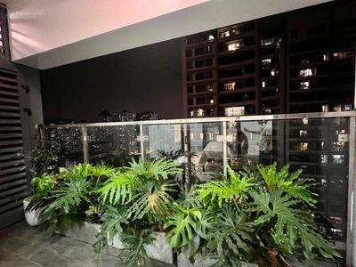 Stellar Garden, Vietnam Stellar Garden, Vietnam