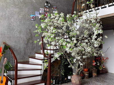 HH2 Bac Ha, Vietnam HH2 Bac Ha, Vietnam