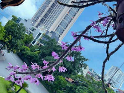 Royal City, Vietnam Royal City, Vietnam