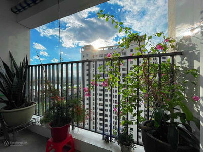 Green Stars, Vietnam Green Stars, Vietnam