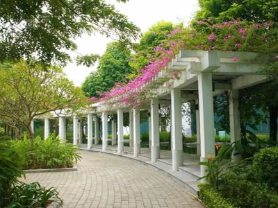 Moonlight 1, Vietnam Moonlight 1, Vietnam