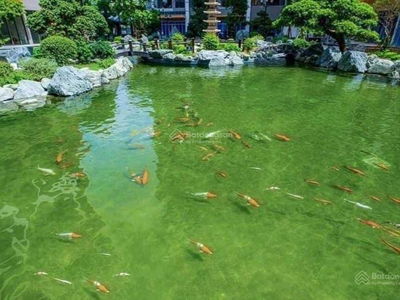 The Zenpark project, Dong Du Street, Duong Xa Commune, Gia Lam, Hanoi, Vietnam The Zenpark project, Dong Du Street, Duong Xa Commune, Gia Lam, Hanoi, Vietnam