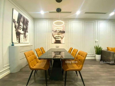 The Golden Armor, Vietnam The Golden Armor, Vietnam