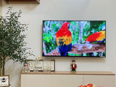 The Artemis, Vietnam The Artemis, Vietnam