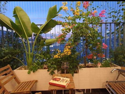 Thong Nhat Complex, Vietnam Thong Nhat Complex, Vietnam