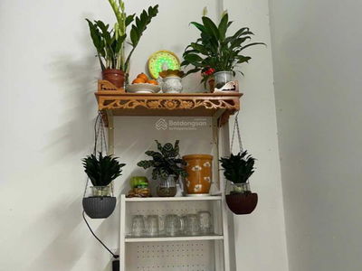 Becamex Dinh Hoa, Vietnam Becamex Dinh Hoa, Vietnam