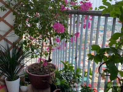 335 Cau Giay, Vietnam 335 Cau Giay, Vietnam