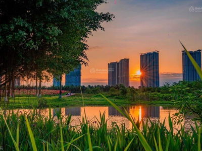 Sol Forest Ecopark, Vietnam Sol Forest Ecopark, Vietnam