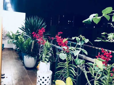 Happy In View, Vietnam Happy In View, Vietnam