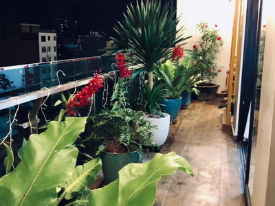 Happy In View, Vietnam Happy In View, Vietnam