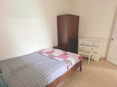 Sora, Vietnam Sora, Vietnam