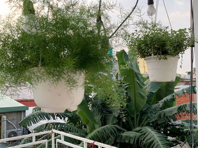 Alojamiento en Ho Chi Minh City, Vietnam Alojamiento en Ho Chi Minh City, Vietnam