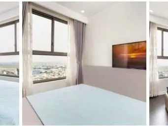 Premier botany, Vietnam  Premier botany, Vietnam