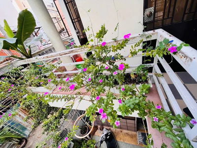 Жилье в Ho Chi Minh City, Vietnam Жилье в Ho Chi Minh City, Vietnam