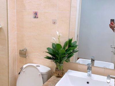 GoldSeason, Vietnam GoldSeason, Vietnam