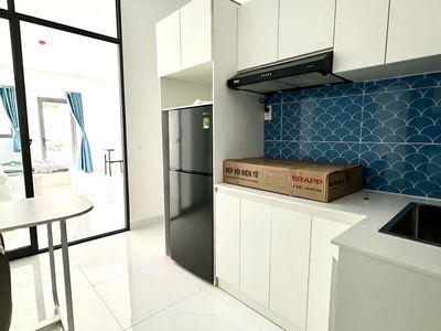 Housing in Ho Chi Minh City, Vietnam Housing in Ho Chi Minh City, Vietnam