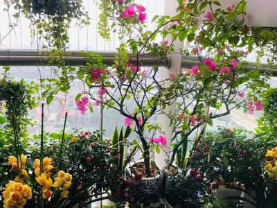 Sun Square, Vietnam Sun Square, Vietnam