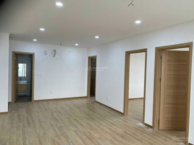 Dreamland Bonanza, Vietnam Dreamland Bonanza, Vietnam