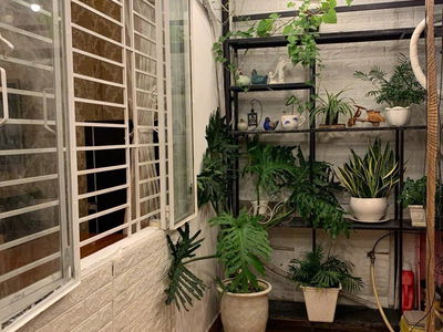 Alojamiento en Ho Chi Minh City, Vietnam Alojamiento en Ho Chi Minh City, Vietnam