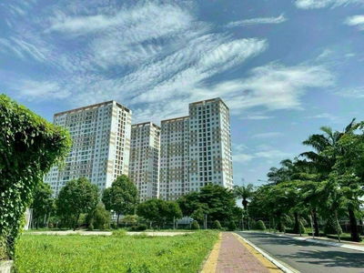 Just Hung, Vietnam Just Hung, Vietnam