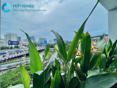 Alojamiento en Ho Chi Minh City, Vietnam Alojamiento en Ho Chi Minh City, Vietnam