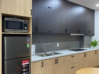 Housing in Ho Chi Minh City, Vietnam Housing in Ho Chi Minh City, Vietnam