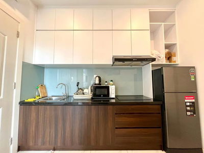 Housing in Ho Chi Minh City, Vietnam Housing in Ho Chi Minh City, Vietnam