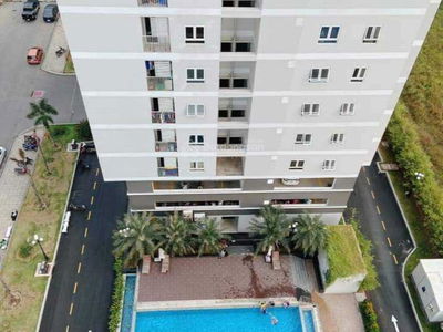 Orchid Park, Vietnam Orchid Park, Vietnam