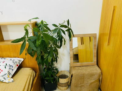 Жилье в Ho Chi Minh City, Vietnam  Жилье в Ho Chi Minh City, Vietnam