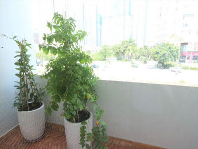 Housing in Ho Chi Minh City, Vietnam Housing in Ho Chi Minh City, Vietnam