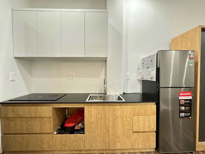 Housing in Ho Chi Minh City, Vietnam Housing in Ho Chi Minh City, Vietnam