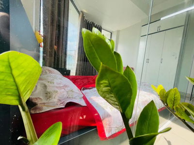 Housing in Ho Chi Minh City, Vietnam  Housing in Ho Chi Minh City, Vietnam