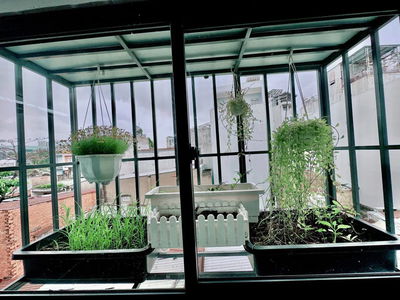 Housing in Ho Chi Minh City, Vietnam Housing in Ho Chi Minh City, Vietnam