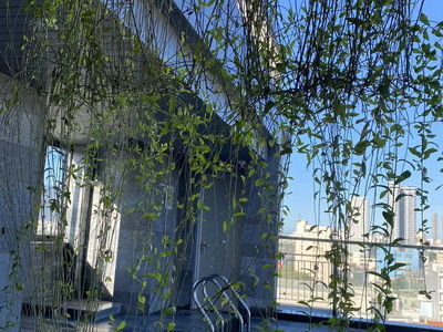 Housing in Da Nang, Vietnam Housing in Da Nang, Vietnam