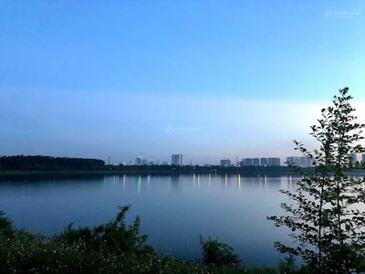 Mandarin Garden 2, Vietnam Mandarin Garden 2, Vietnam