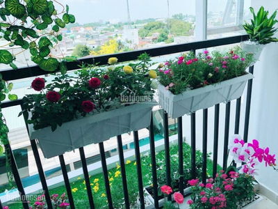 Him Lam Phu Dong, Vietnam Him Lam Phu Dong, Vietnam