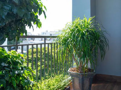 Logement dans Da Nang, Vietnam Logement dans Da Nang, Vietnam