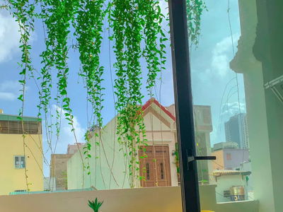 Housing in Da Nang, Vietnam Housing in Da Nang, Vietnam