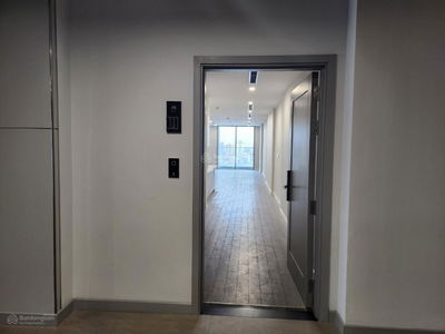 The Nine, Vietnam The Nine, Vietnam