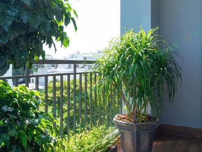 My area, Vietnam My area, Vietnam