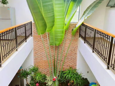 Housing in Da Nang, Vietnam Housing in Da Nang, Vietnam