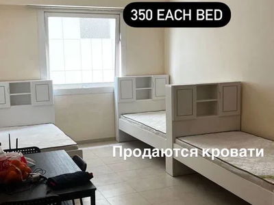 Housing in Sharjah, United Arab Emirates Housing in Sharjah, United Arab Emirates