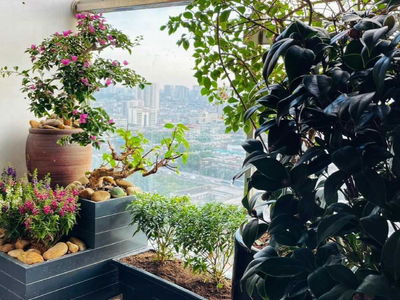 GoldSeason, Vietnam GoldSeason, Vietnam