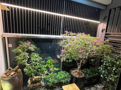 Thong Nhat Complex, Vietnam Thong Nhat Complex, Vietnam