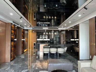 Dolphin Plaza Project, Vietnam Dolphin Plaza Project, Vietnam